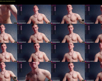 night_wwwolf — 23 minute Chaturbate male naked cam show, 720p, Apr 22, 2023