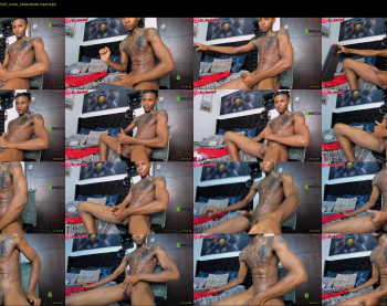 _pantera_09 — 24 minute Chaturbate male naked cam show, 720p, Aug 10, 2024