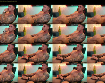 thomas_falcon1 — 9 minute Chaturbate male naked cam show, 720p, Sep 18, 2024