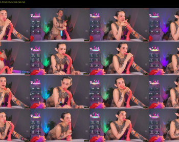 evarabbit — 13 minute Chaturbate female naked cam show, 720p, Aug 13, 2025
