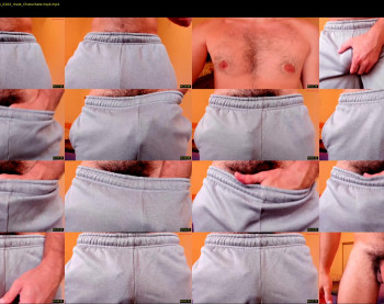 hung_dude_19 — 5 minute Chaturbate male naked cam show, 480p, Sep 22, 2025
