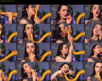 evarabbit — 24 minute Chaturbate female naked cam show, 720p, Jan 26, 2026