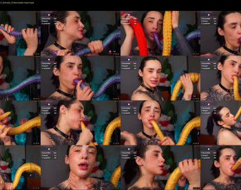 evarabbit — 30 minute Chaturbate female naked cam show, 720p, Feb 2, 2026