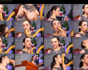 evarabbit — 81 minute Chaturbate female naked cam show, 720p, Feb 8, 2026