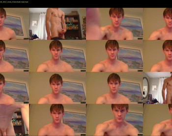 basicallyjustmee — 15 minute Chaturbate male naked cam show, 480p, Mar 15, 2026