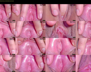orchidekitty — 120 minute Chaturbate female naked cam show, 720p, May 4, 2026