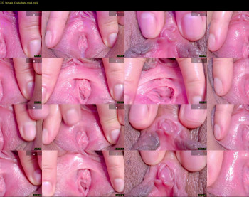orchidekitty — 103 minute Chaturbate female naked cam show, 720p, May 4, 2026
