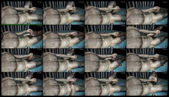 taylor__06 — 14 minute Chaturbate male naked cam show, 720p, Aug 16, 2026