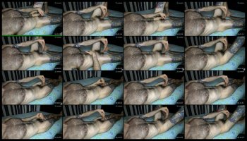 taylor__06 — 18 minute Chaturbate male naked cam show, 720p, Aug 20, 2026