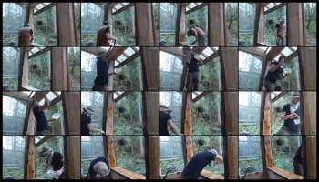 info_chat — 17 minute Chaturbate male naked cam show, 720p, Oct 10, 2026
